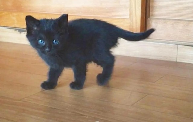 f:id:nakatakaori:20240429150147j:image f:id:nakatakaori:20240429150147j:image