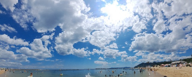 f:id:nakatakaori:20240810224254j:image f:id:nakatakaori:20240810224254j:image
