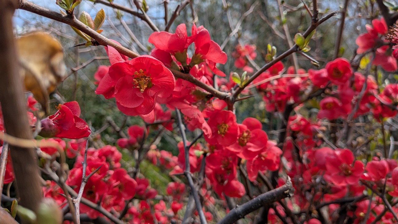 f:id:nakatakaori:20260319155425j:image f:id:nakatakaori:20260319155425j:image