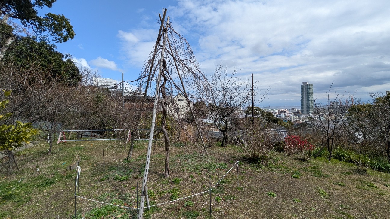 f:id:nakatakaori:20260319155434j:image f:id:nakatakaori:20260319155434j:image