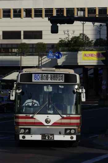 f:id:nakayamakaisoku:20190107180407j:plain