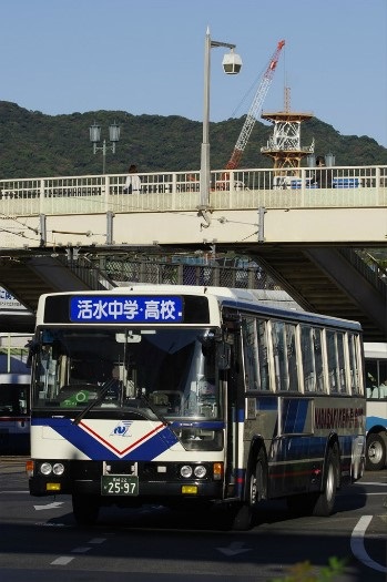 f:id:nakayamakaisoku:20190211195144j:plain f:id:nakayamakaisoku:20190211195144j:plain