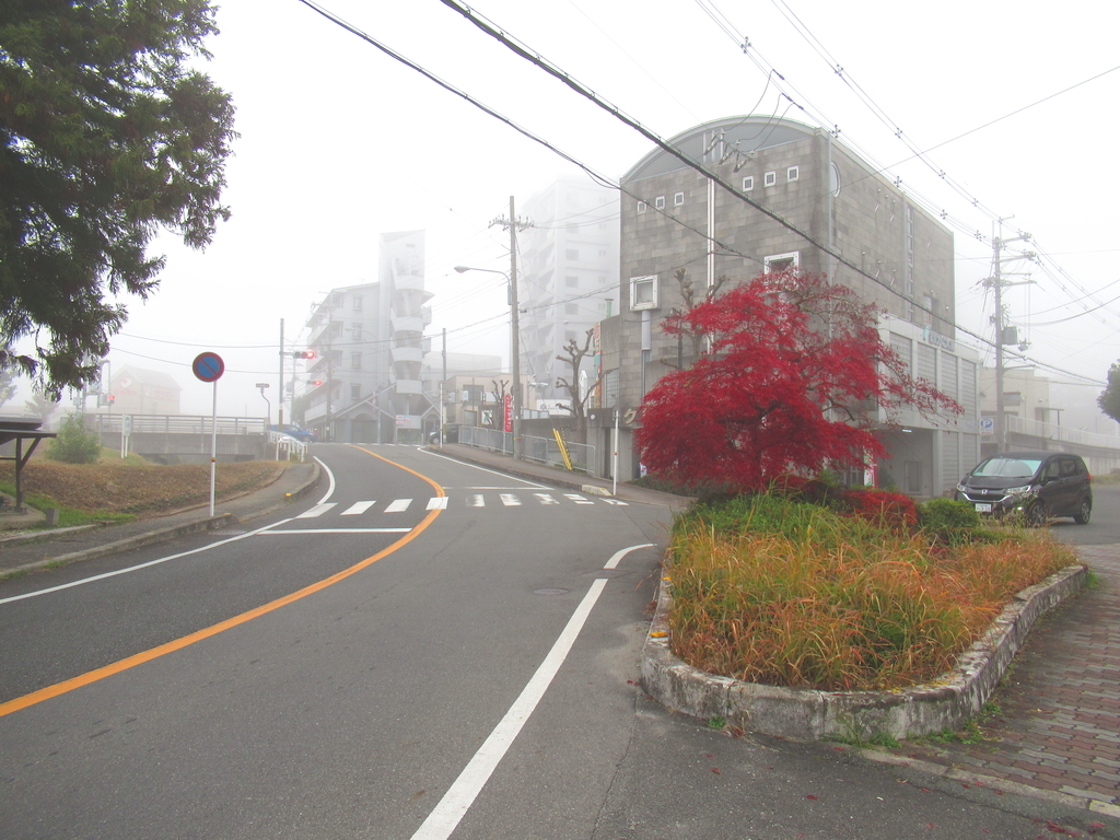 f:id:nakayamanarune:20181202224904j:plain