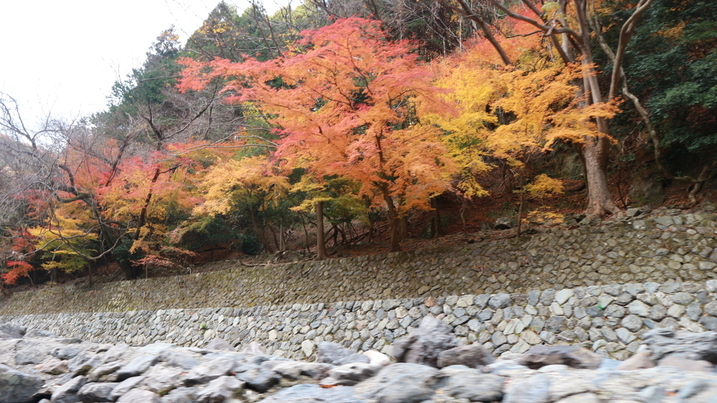 f:id:nakayamanarune:20190224114153j:plain