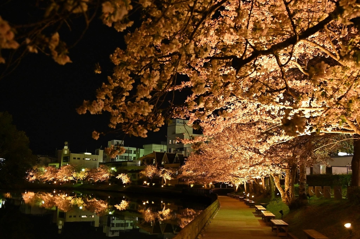 f:id:nakayamanarune:20190414213830j:plain