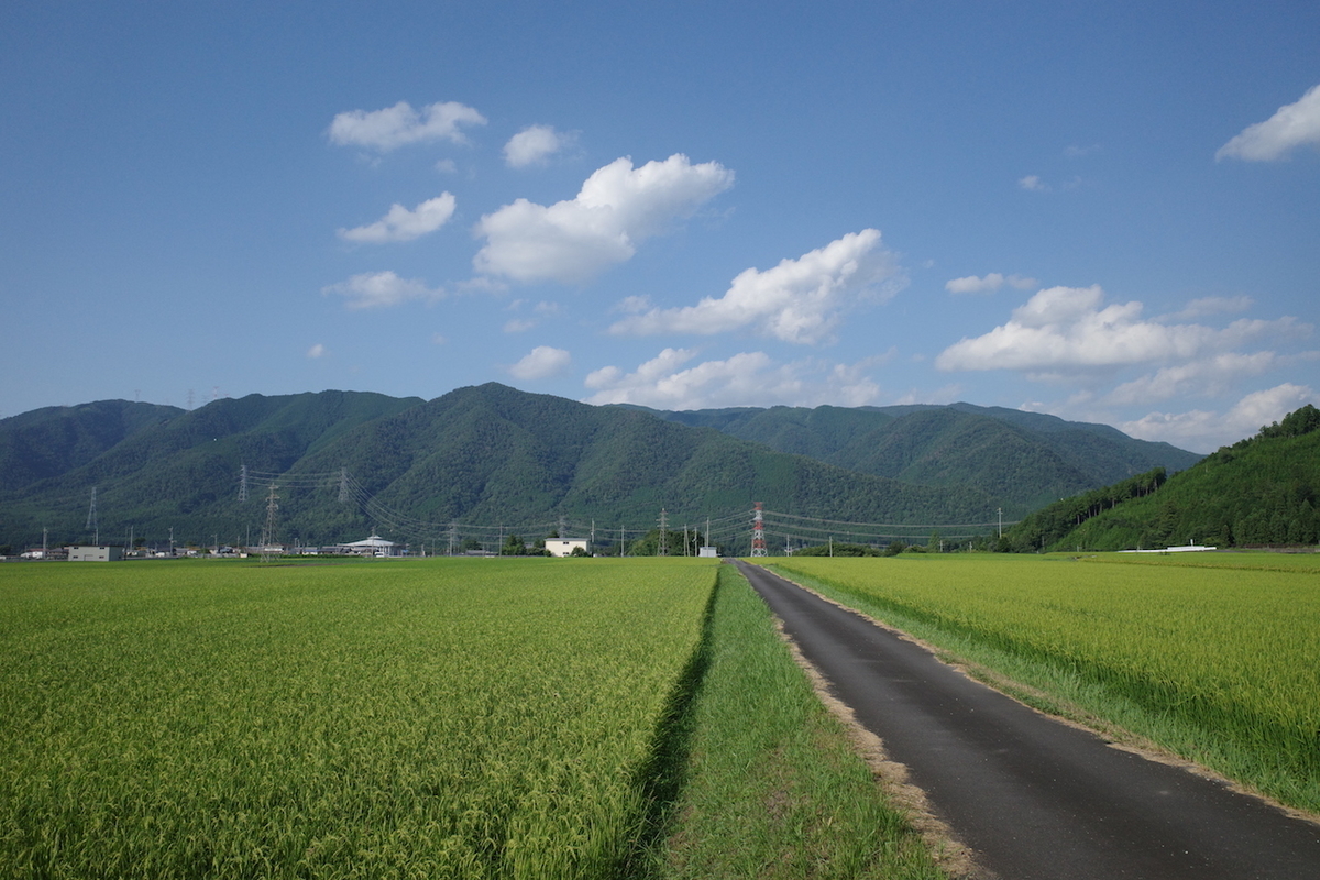 f:id:nakazima:20210808012017j:plain