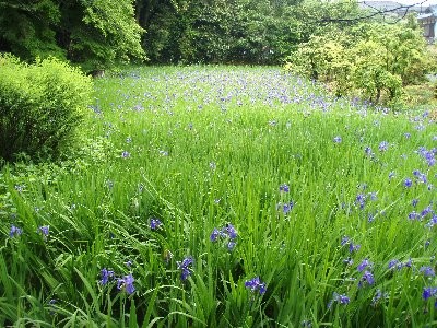 f:id:nakcazawa:20100519194024j:image f:id:nakcazawa:20100519194024j:image
