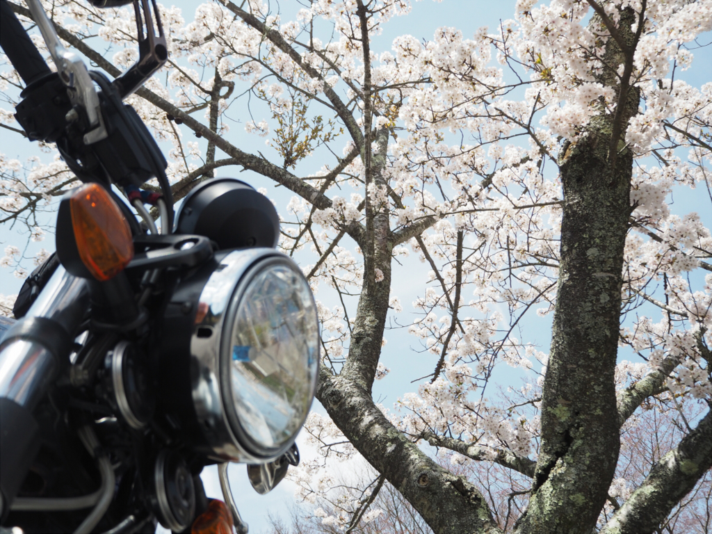 f:id:nakedoption:20170428232452j:plain