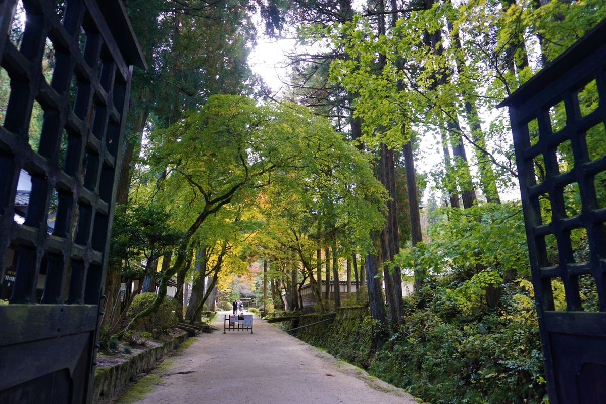 f:id:nakikun:20191111121326j:plain f:id:nakikun:20191111121326j:plain