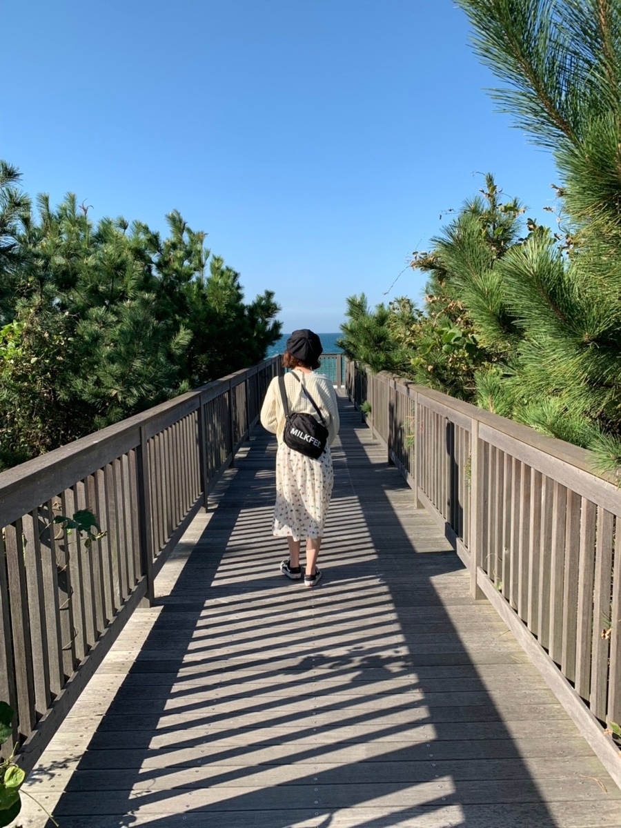 f:id:nakiniko:20190520225013j:plain f:id:nakiniko:20190520225013j:plain