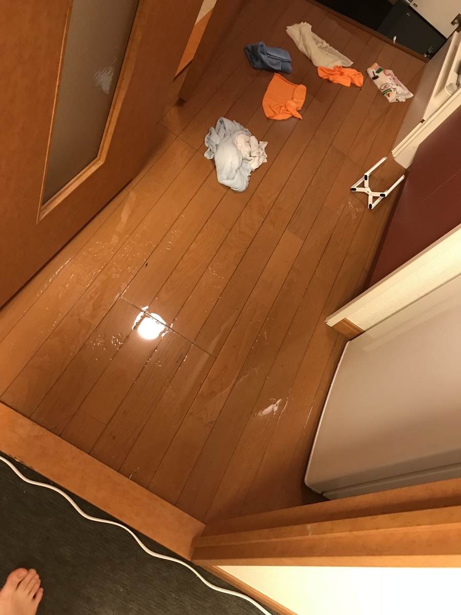 f:id:nakiniko:20190716200705j:plain f:id:nakiniko:20190716200705j:plain