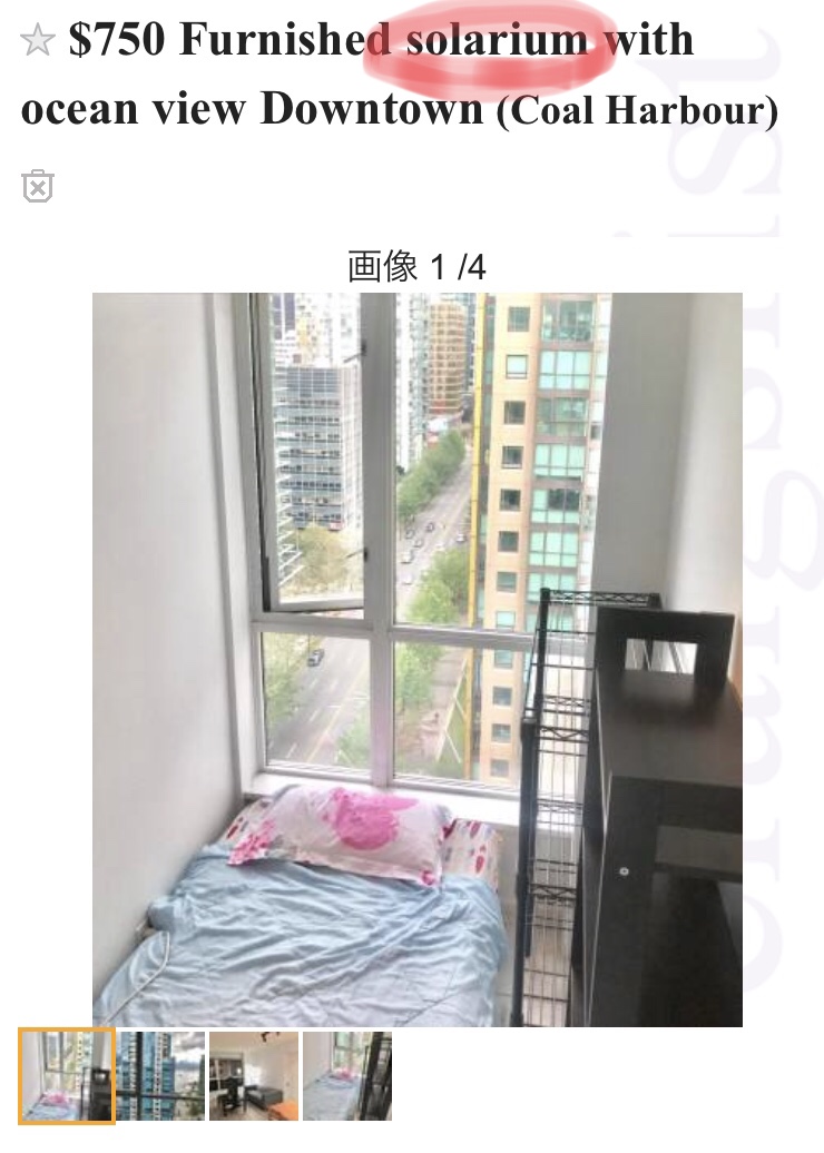 f:id:nakiniko:20190723002014j:plain f:id:nakiniko:20190723002014j:plain