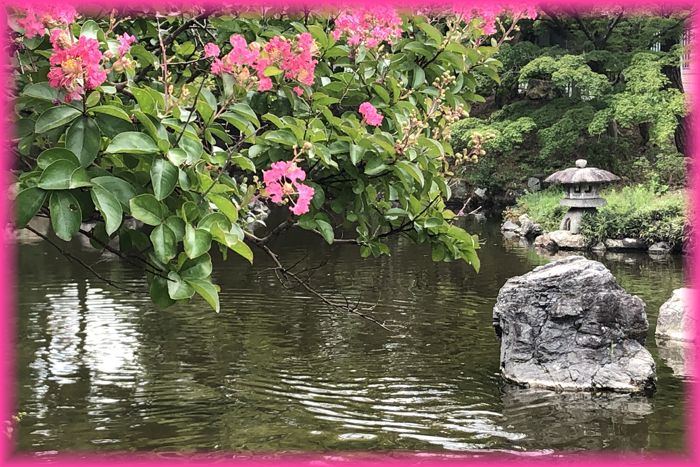 f:id:nakkacho902:20190814175420j:plain