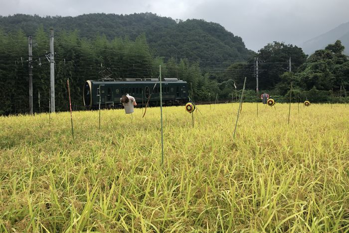 f:id:nakkacho902:20190922222743j:plain