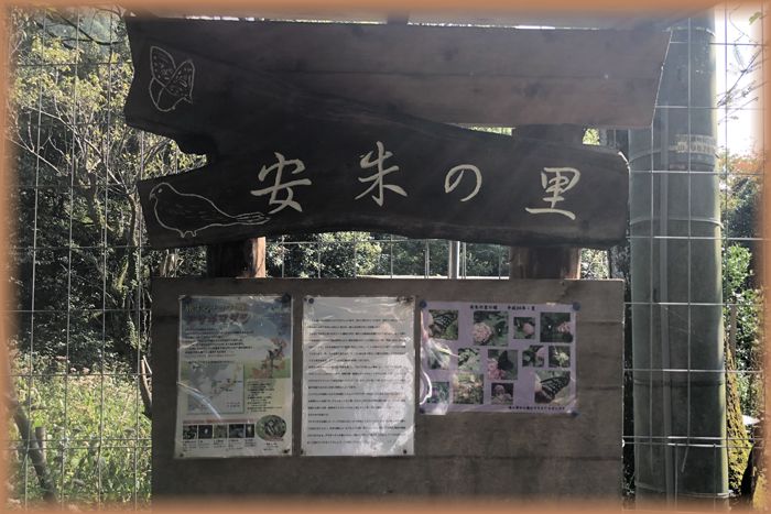 f:id:nakkacho902:20191107123152j:plain