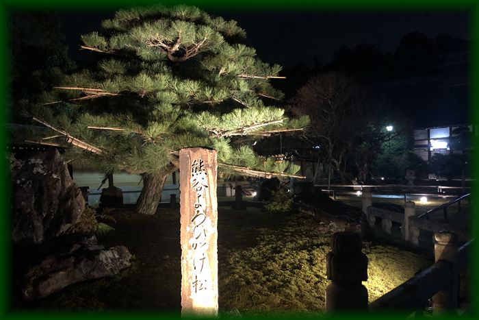 f:id:nakkacho902:20191129094312j:plain