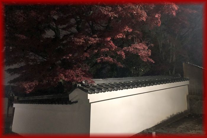 f:id:nakkacho902:20191129094320j:plain