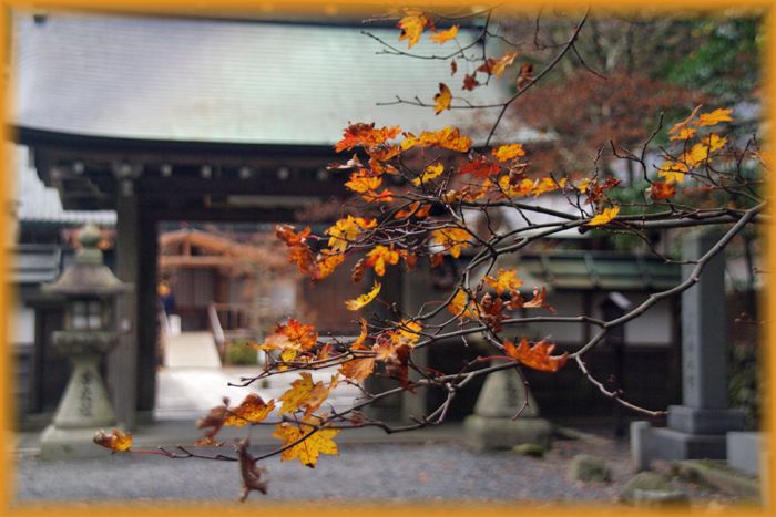 f:id:nakkacho902:20191202085601j:plain