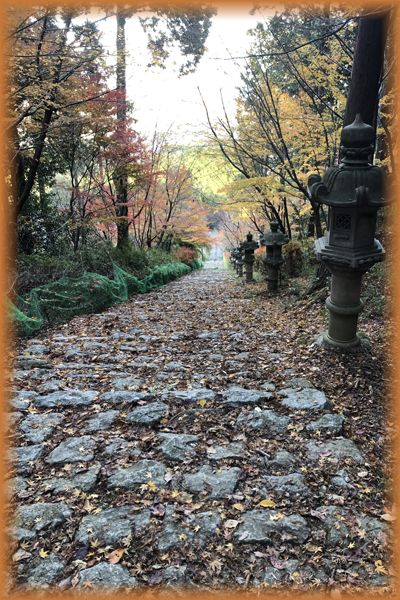 f:id:nakkacho902:20191202163956j:plain