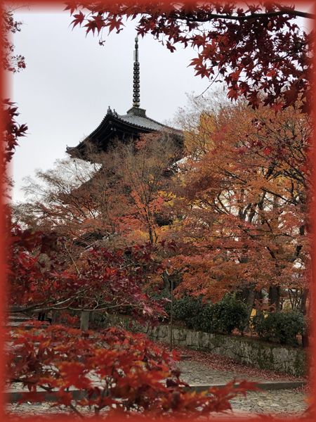 f:id:nakkacho902:20191211114323j:plain