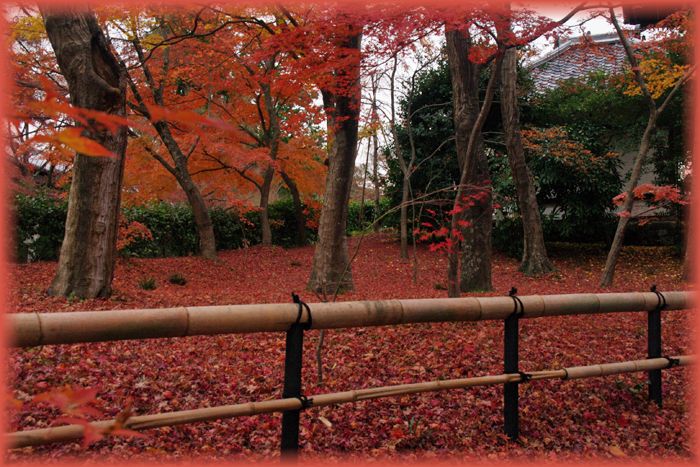 f:id:nakkacho902:20191211114342j:plain