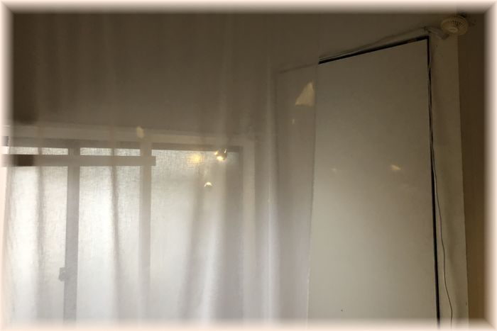 f:id:nakkacho902:20191211170519j:plain