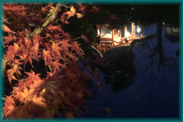 f:id:nakkacho902:20191215220934j:plain
