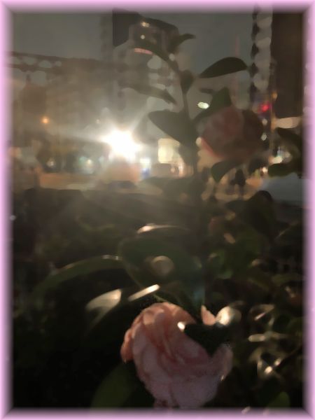 f:id:nakkacho902:20200129114923j:plain