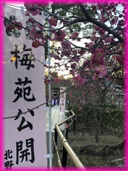f:id:nakkacho902:20200212162224j:plain f:id:nakkacho902:20200212162224j:plain