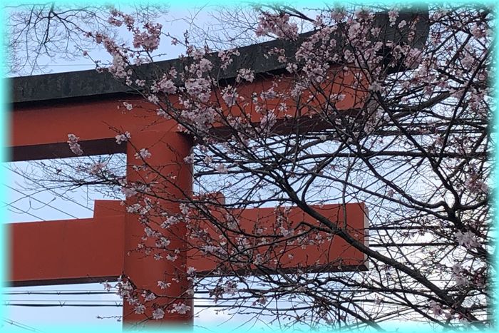 f:id:nakkacho902:20200315215221j:plain