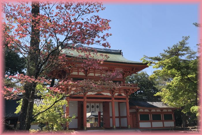 f:id:nakkacho902:20200426212038j:plain
