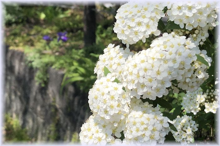 f:id:nakkacho902:20200426212047j:plain