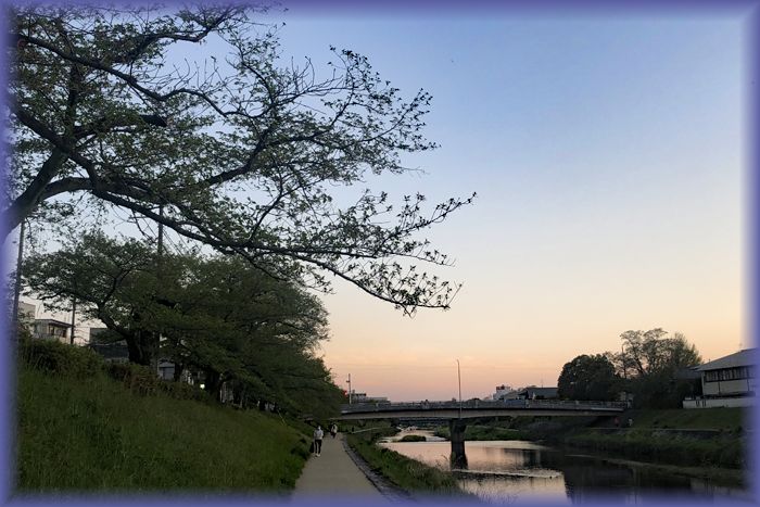 f:id:nakkacho902:20200426212128j:plain
