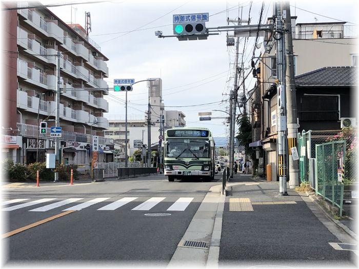 f:id:nakkacho902:20200505202504j:plain