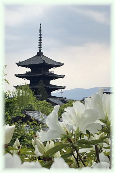 f:id:nakkacho902:20200507155427j:plain
