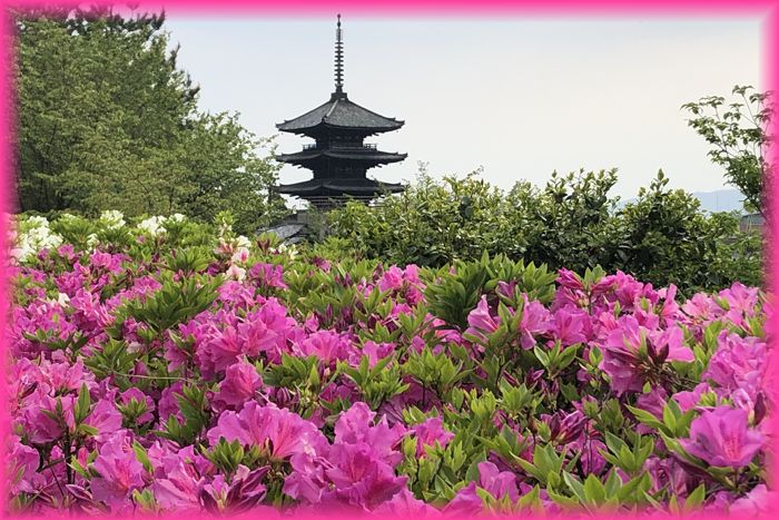 f:id:nakkacho902:20200507155435j:plain