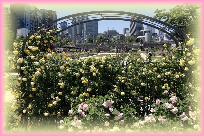 f:id:nakkacho902:20200511221621j:plain