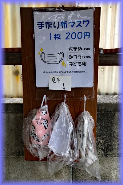 f:id:nakkacho902:20200601152026j:plain
