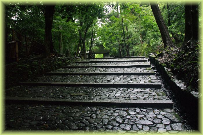 f:id:nakkacho902:20200615052245j:plain