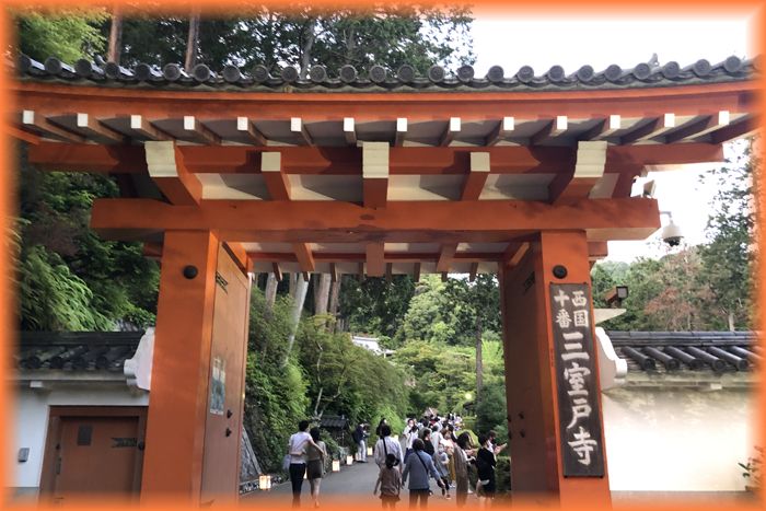 f:id:nakkacho902:20200621214549j:plain