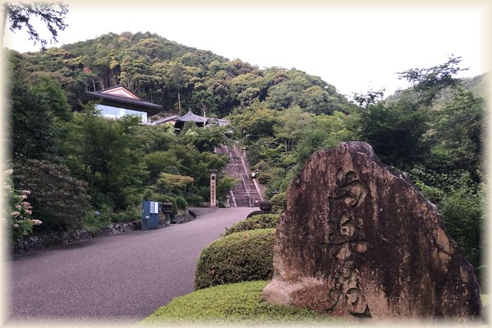 f:id:nakkacho902:20200621214649j:plain