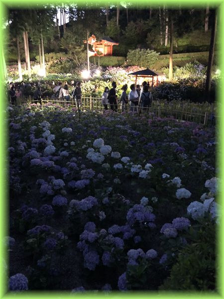 f:id:nakkacho902:20200621215030j:plain