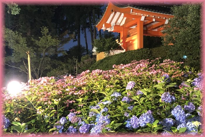 f:id:nakkacho902:20200621215051j:plain