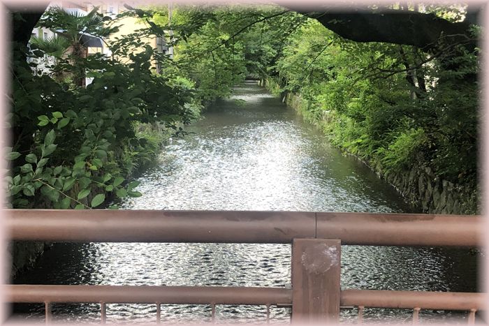 f:id:nakkacho902:20200705223323j:plain