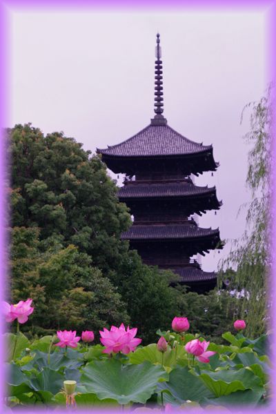 f:id:nakkacho902:20200718214332j:plain