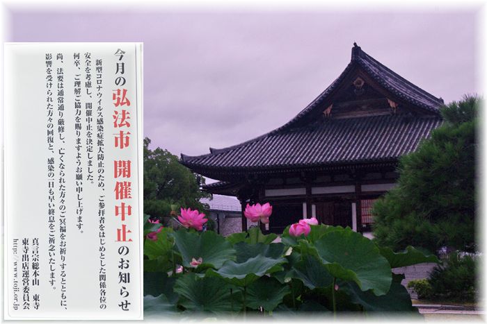 f:id:nakkacho902:20200718214446j:plain