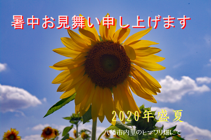 f:id:nakkacho902:20200801210310p:plain