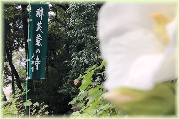 f:id:nakkacho902:20201012105040j:plain