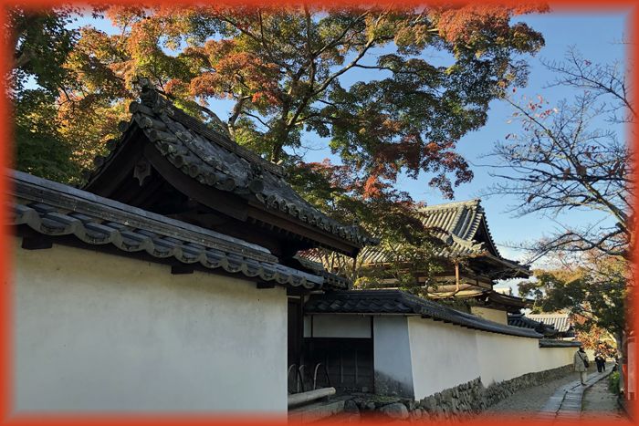 f:id:nakkacho902:20201106230554j:plain