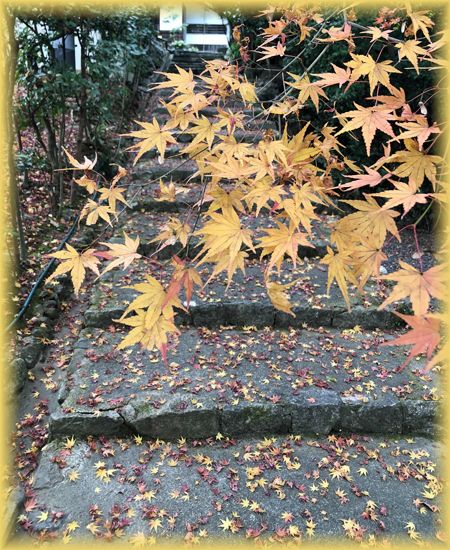 f:id:nakkacho902:20201214115352j:plain